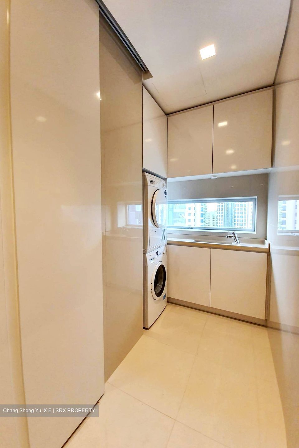 Skyline @ Orchard Boulevard (D9), Apartment #410725701